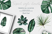 Tropical Boom, an Illustration by CrystalinaShop (Thumbnail 6 of 7)