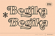 Begika Modern and Classy Serif Font, a Script Font by Storytype Studio (Thumbnail 3 of 11)