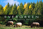 Ever Green 10 Lightroom Presets., an Action Add-On by MorningStar (Thumbnail 1 of 11)