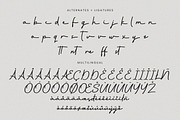 Antheia - Elegant Signature Font, a Script Font by Flawless And Co (Thumbnail 10 of 10)