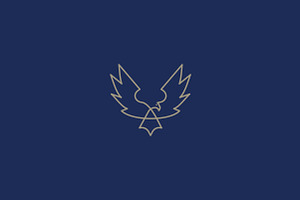 Eagle logo template, a Branding & Logo Template by Sarten