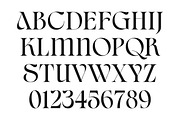 Civons Serif Display Font, a Serif Font by Genetype (Thumbnail 4 of 9)