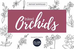 Inked Orchid Illustration Collection