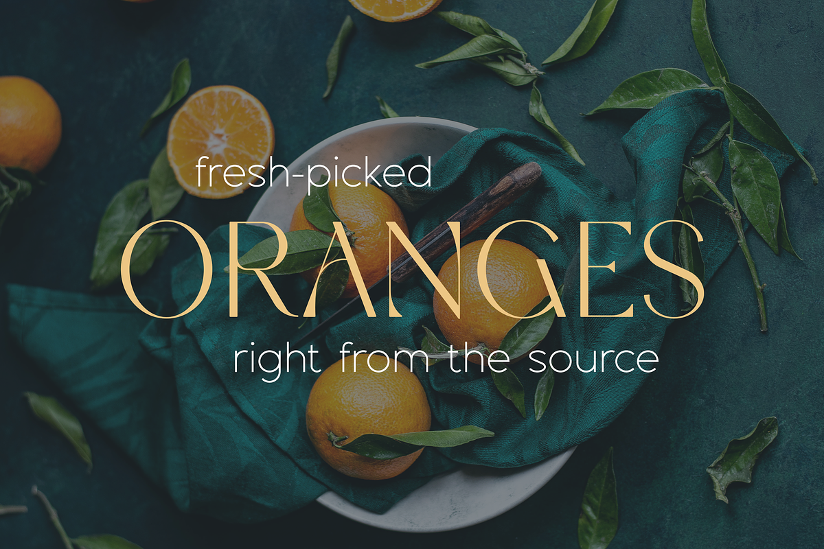 Espial typeface - 36 fonts, a Sans Serif Font by VP Fonts (Photo 8 of 22)