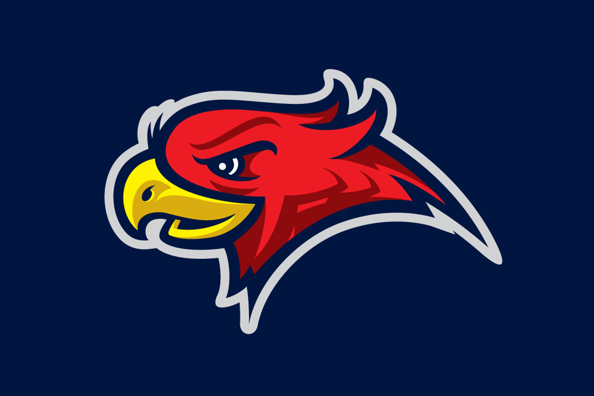 Angry bird sport logotype, a Branding & Logo Template by Mister Chek