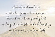 Angelina Signature | Script Font, a Handwritten Font by Scratchones (Thumbnail 6 of 8)
