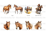 Watercolor Horse Clipart, Pony PNG, an Animal Illustration by BrushstrokeArtGB (Thumbnail 3 of 9)