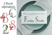 Apple tree flowers watercolor set, a Decorative Illustration by Lidia's watercolor world (Thumbnail 4 of 9)