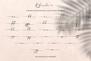 Blanche - Signature Font, a Script Font by erlosDESIGN (Thumbnail 14 of 15)