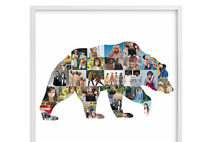 Bear Photo Collage Template