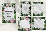 Protea - tropical collection, a Texture Illustration by Backyard Rose (Thumbnail 16 of 22)