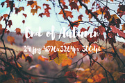 End of Autumn photo pack, a Templates & Theme by ApertureVintage (Thumbnail 6 of 14)