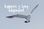 Lagom Font, a Script Font by SophieSaxo (Thumbnail 5 of 9)