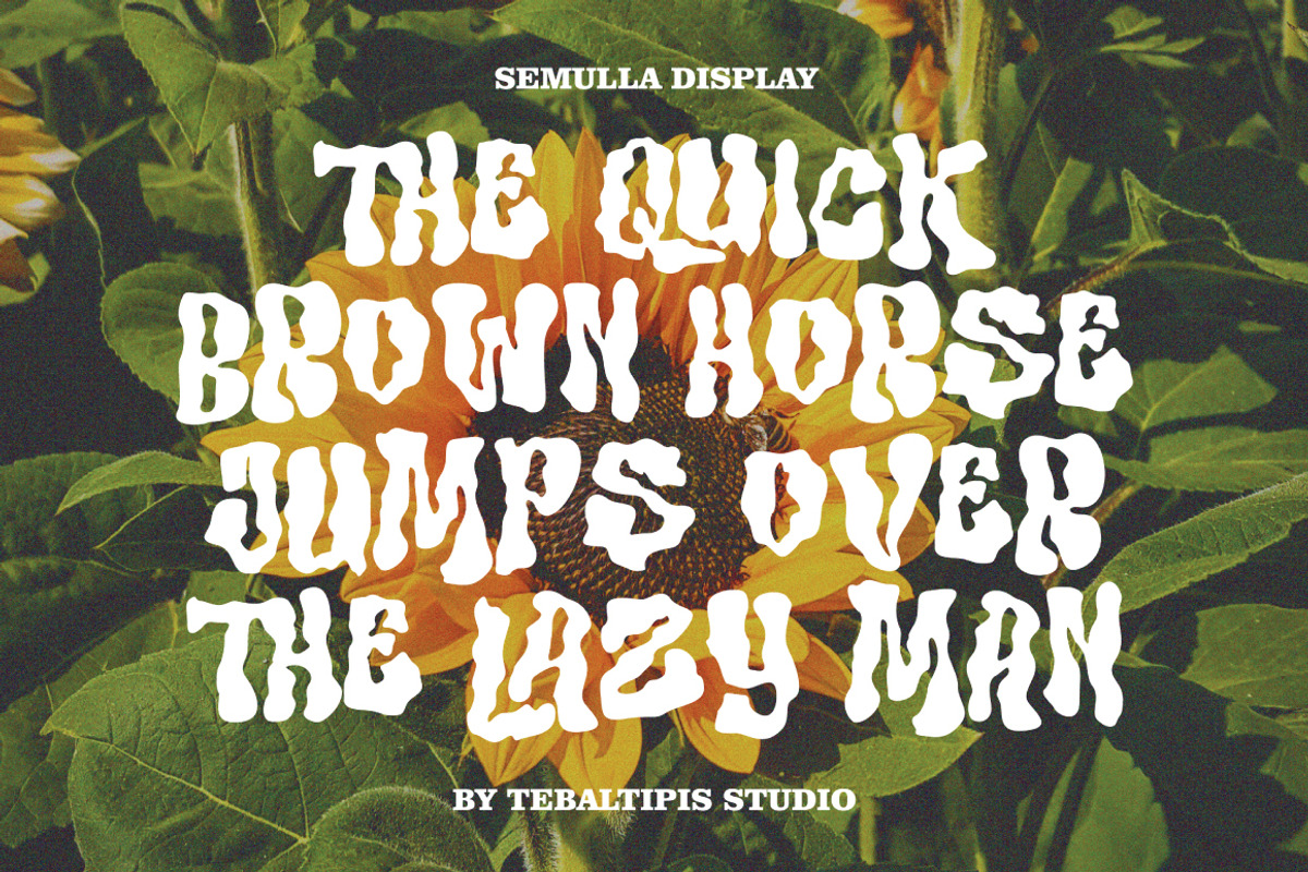 Semulla - Trippy Liquid Font, a Handwritten Font by tebaltipislab (Photo 2 of 10)