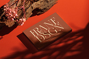 Frane Rhiger Elegant Serif Font, a Serif Font by Graphicxell (Thumbnail 7 of 8)