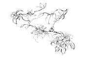 Ink Apple Blossom, an Illustration by Note And Silence (Thumbnail 4 of 5)