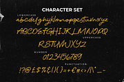 Flourique Signature Font, a Script Font by PutraCetol Studio (Thumbnail 5 of 5)