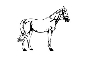 Silhouette horse icon, horse drawing, an Animal Illustration by Digital-Clipart