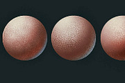 Skin Brush Pack, a Brush Add-On by vurdembrushes (Thumbnail 5 of 5)
