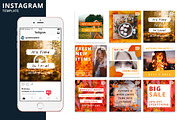 Autumn Instagram Animated Template, a Social Media Template by Brandspark Mini (Thumbnail 1 of 2)