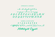 Leisya Girl Script Font Bold, a Script Font by JNJ Studio (Thumbnail 8 of 9)