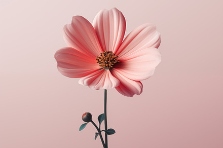 A delicate minimalistic pink flower with soft petals and a central cluster of y, an Arts & Entertainment Photo by Textures & Backgrounds