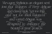 Effidhem Mevagen | 18 Font Files, a Serif Font by IM Studio (Thumbnail 3 of 14)