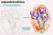 Flower Builder Kit for Photoshop, a Brushes & More by Wooly Pronto (Thumbnail 9 of 11)