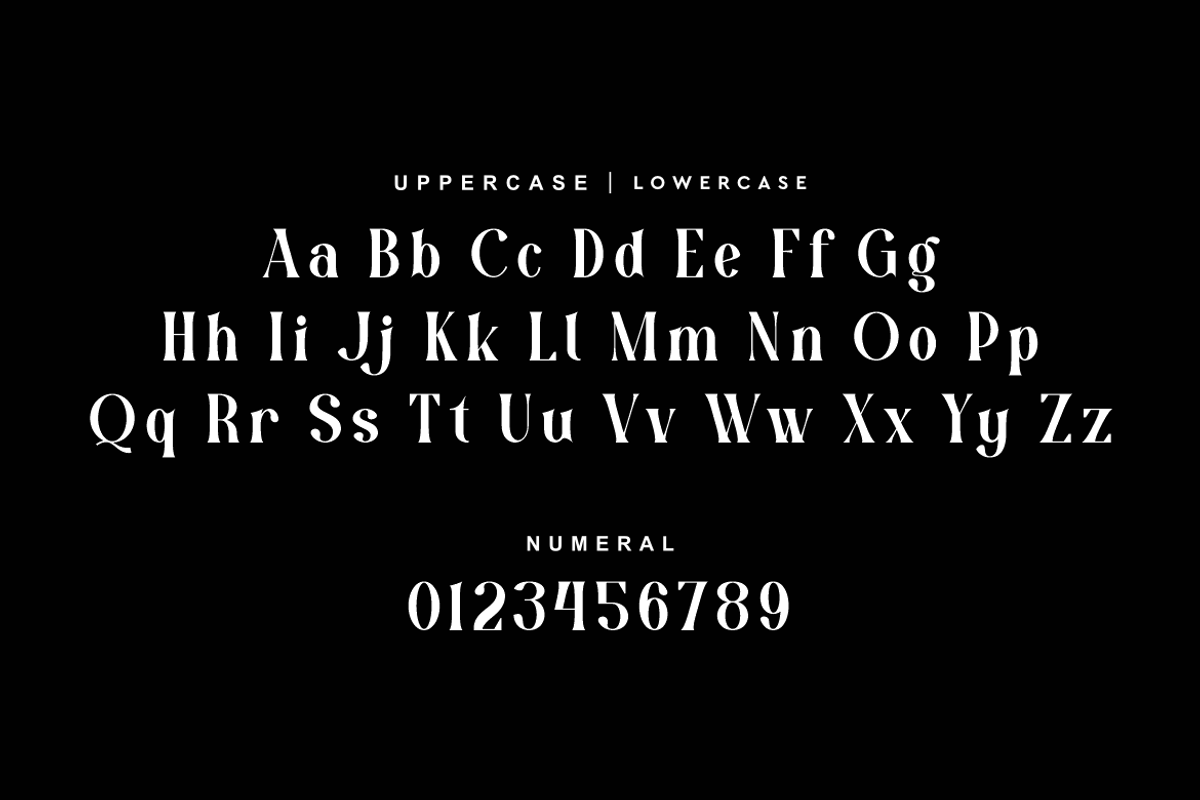 Ostir Agobelt Feminine Elegant Font, a Serif Font by QR Design Studio (Photo 6 of 13)