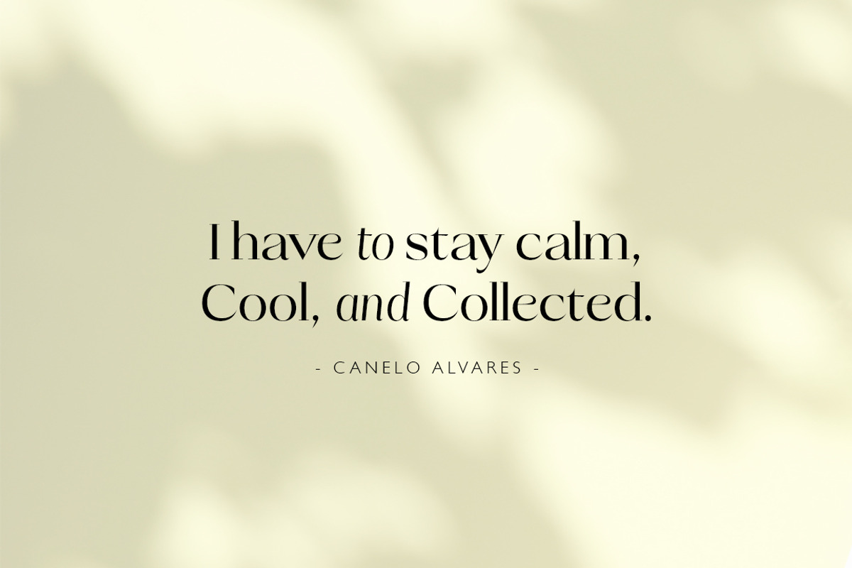 Talesha Font Family, a Serif Font by Seniors (Photo 6 of 30)