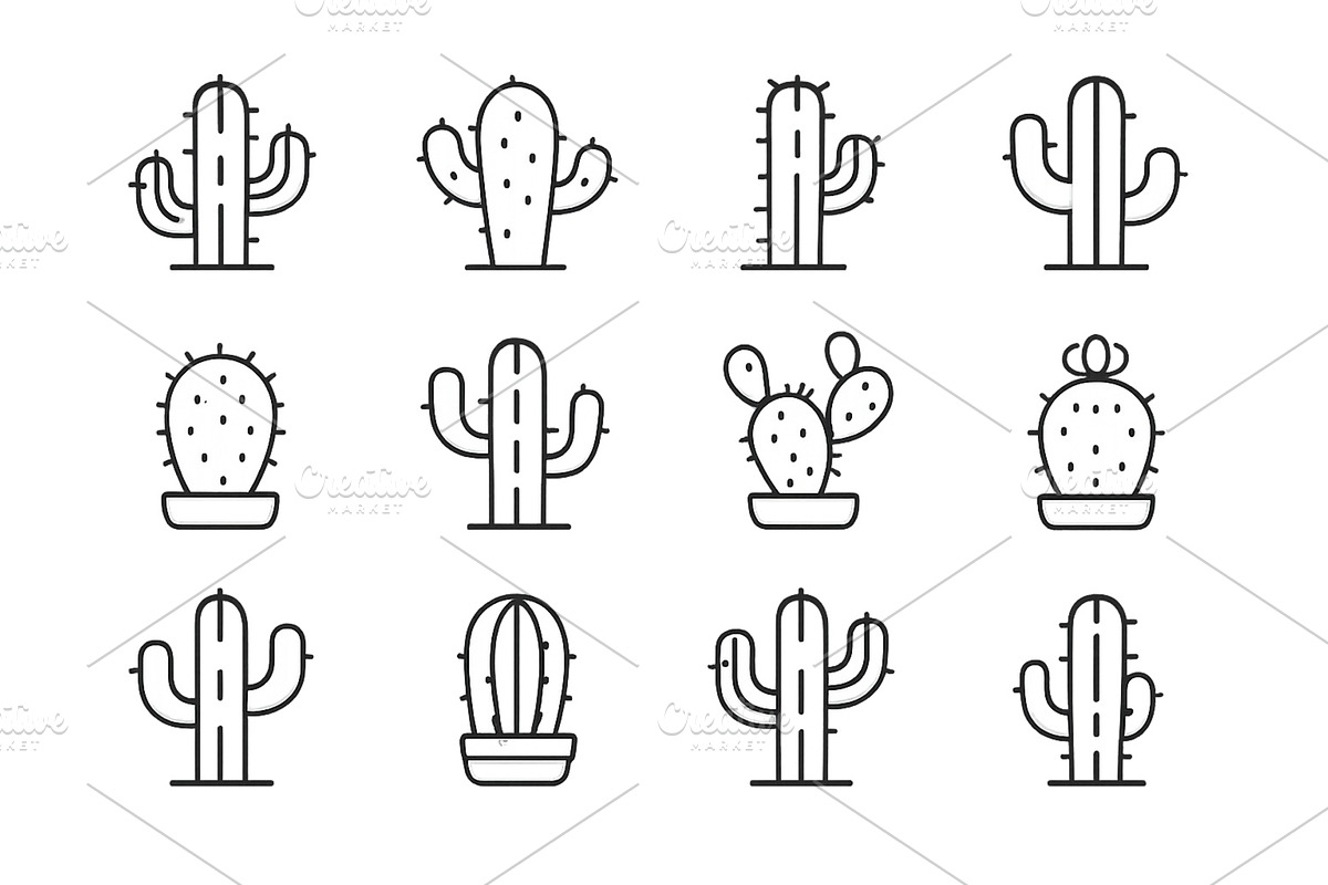 Unique collection of cactus, an Object Illustration by ZinetroN