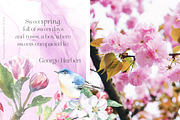 Spring Garden Floral Watercolor, a Texture Illustration by Catherine Wheel (Thumbnail 9 of 22)