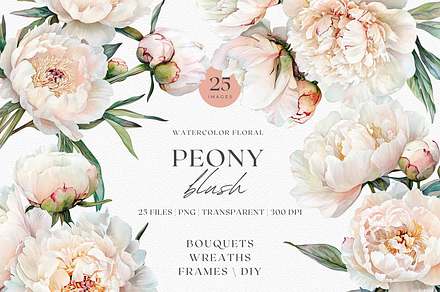 Peony Blush - Watercolor, a Decorative Illustration by ThaismotaCreativeCo