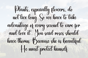 Butterfly | Script Font, a Handwritten Font by Scratchones (Thumbnail 6 of 8)