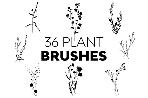 Plant Brushes