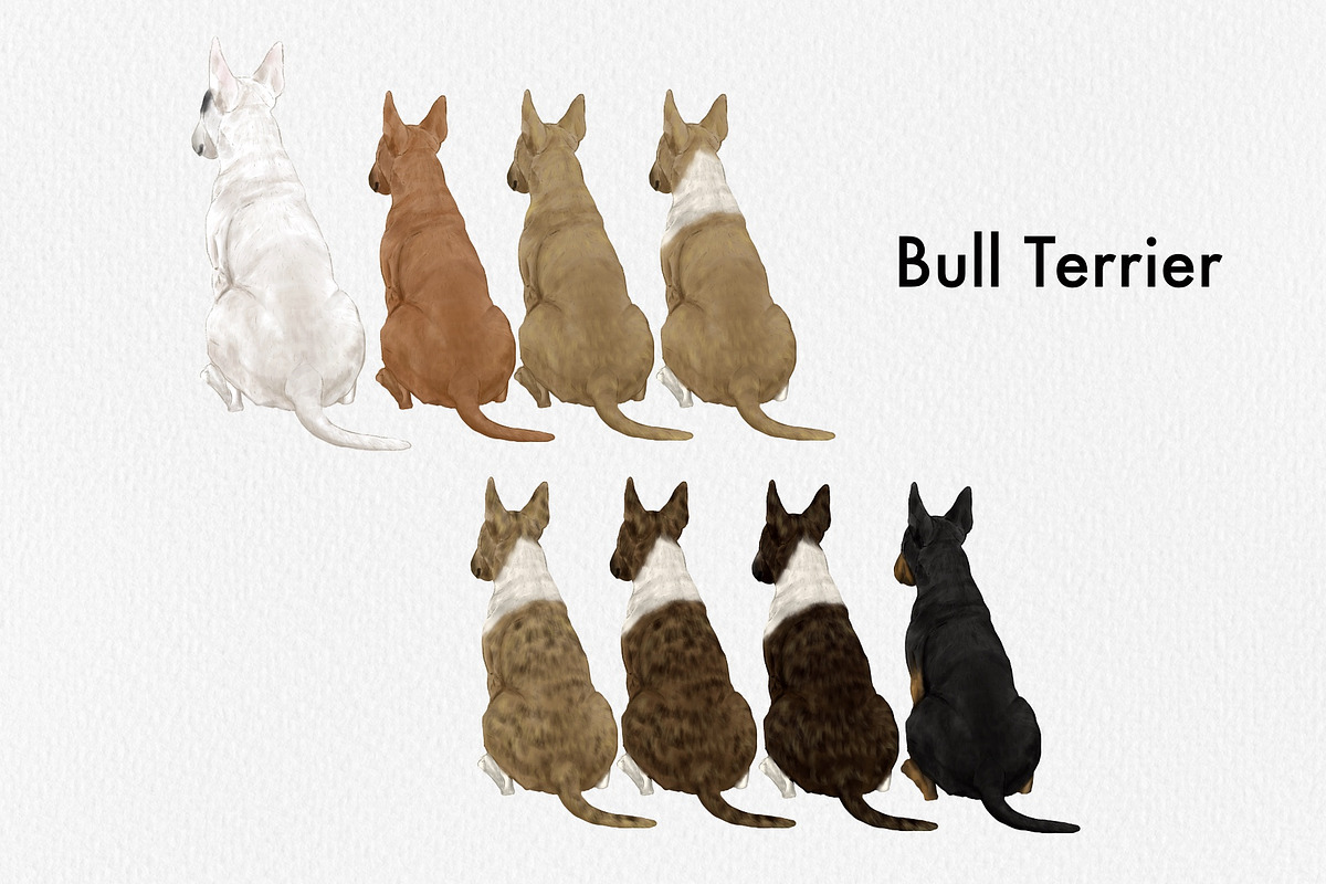 Watercolor dog breed clipart, an Animal Illustration by ColorfulPT (Photo 2 of 8)