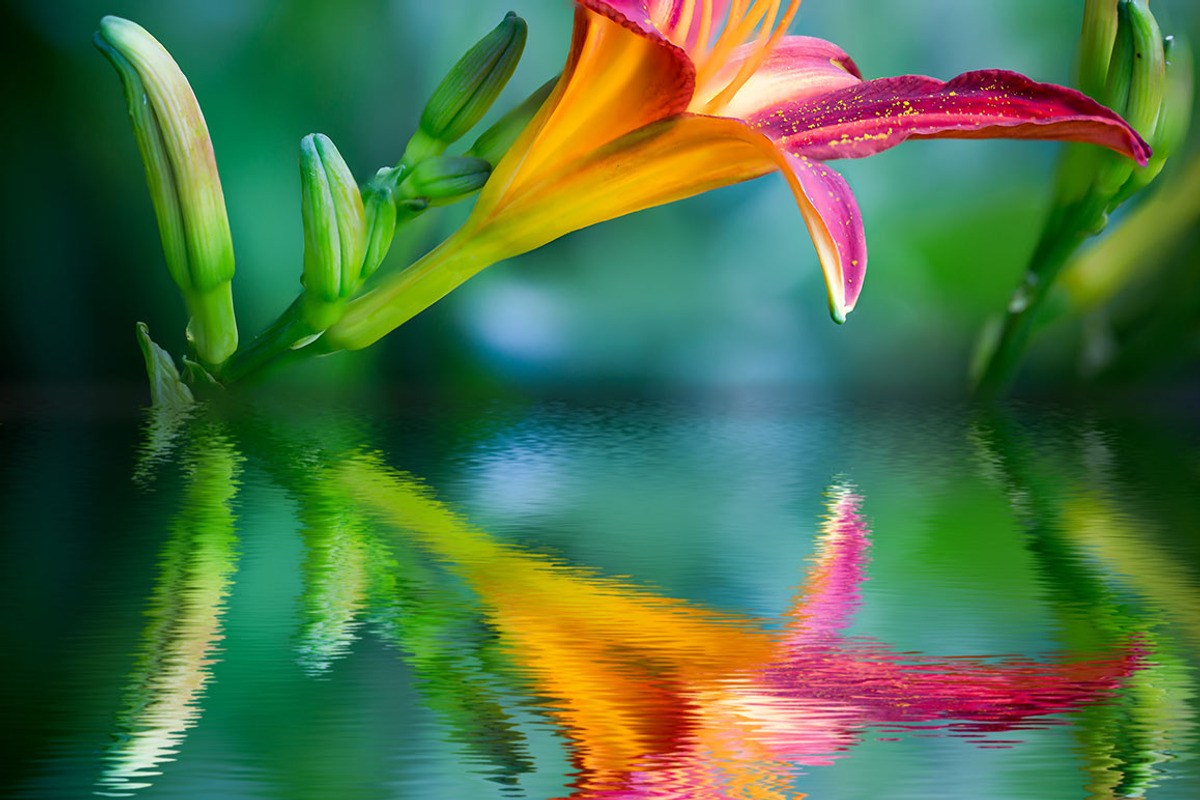 Water Reflection Photoshop Action, an Action Add-On by designvillage (Photo 3 of 5)