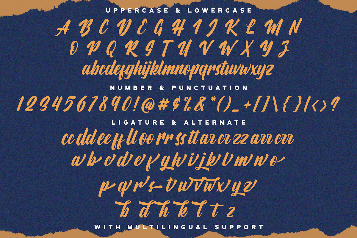 Aylafs - Bold Script Font, a Script Font by StringLabs (Photo 10 of 11)