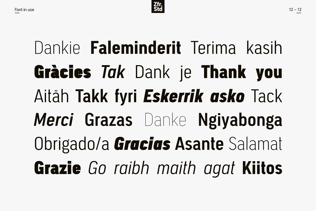 Segovia Narrow, a Sans Serif Font by Zafara Studios (Photo 12 of 12)