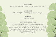 Molga font, a Font by creativemedialab (Thumbnail 7 of 8)