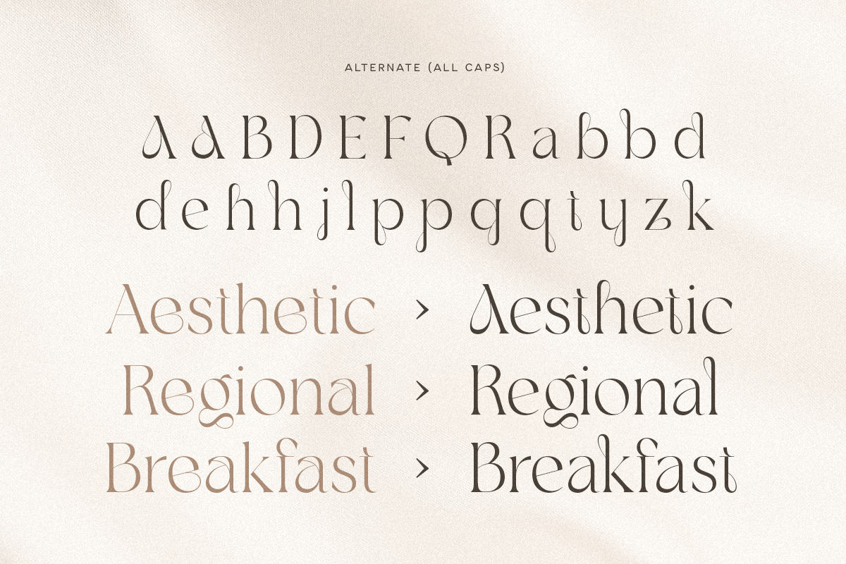 Agare - Branding Luxury Font, a Serif Font by Sensatype (Photo 9 of 12)