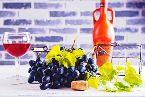 food, a Food & Drink Photo by tycoon111