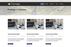 Tourage - PSD Website Template