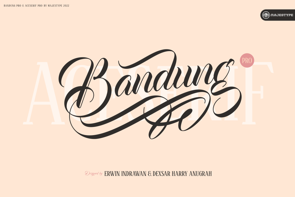 Bandung PRO - Luxury Wedding Font, a Script Font by dexsarharryfonts (Photo 1 of 9)