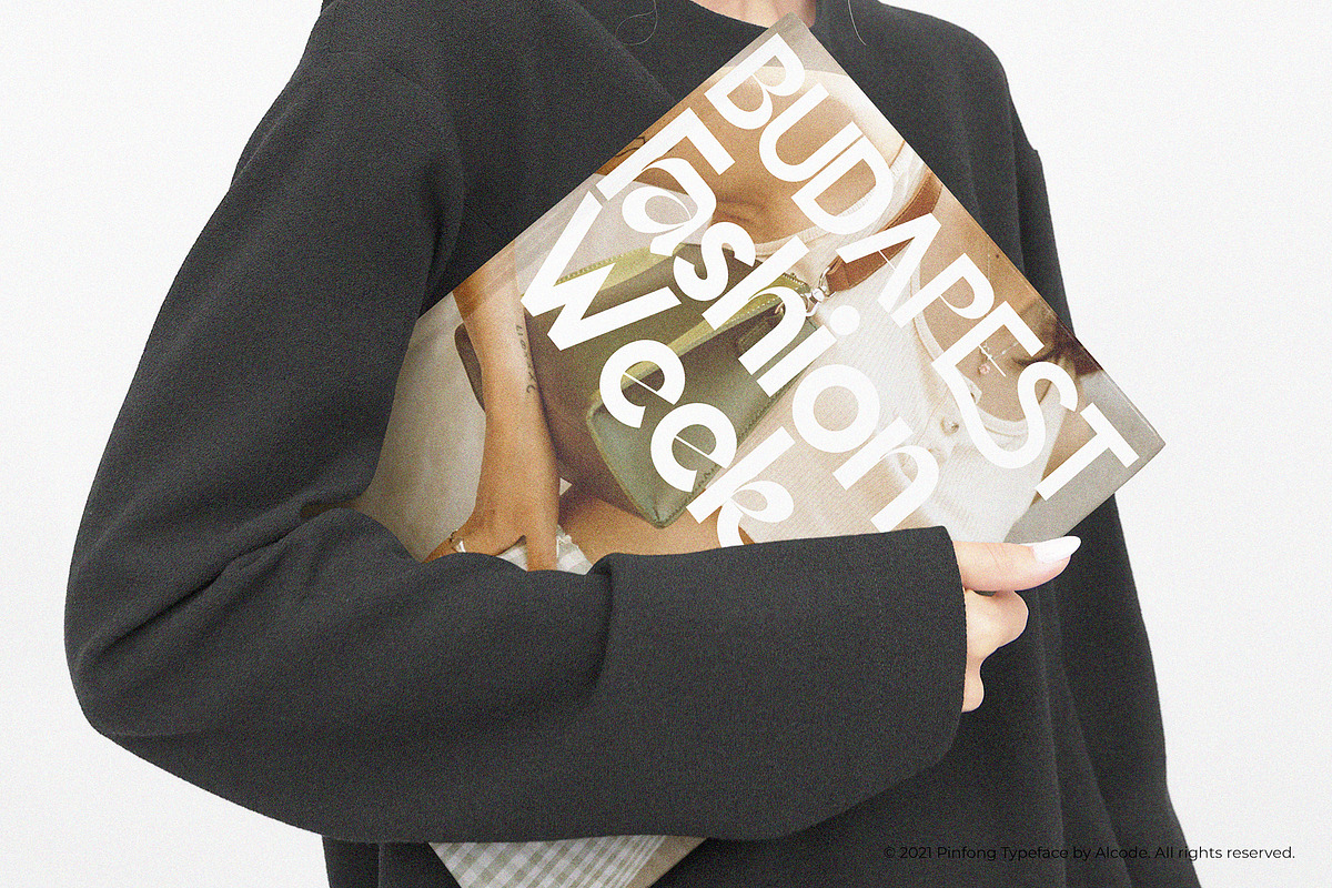 Pinfong Typeface, a Serif Font by Alcode (Photo 13 of 20)