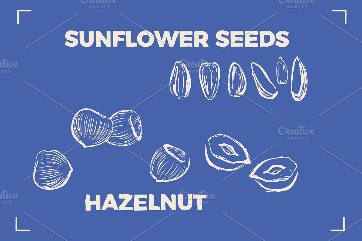 NUTS LINE ART SET (15+ elements), a Food Illustration by Bonfloret Studio (Photo 4 of 10)