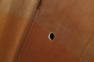 hole in plywood sheet, a Photo by WorldOfPhotos