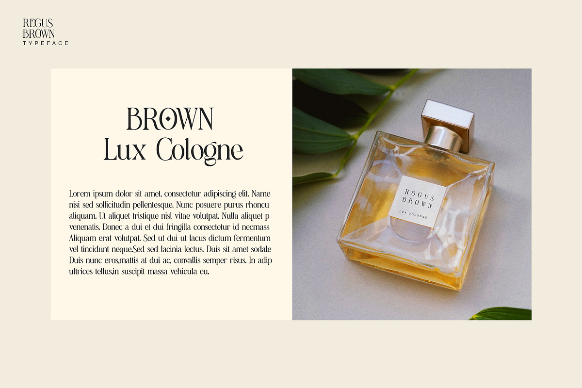Regus Brown, a Serif Font by Ryan Rivaldo Vierra (Photo 9 of 16)