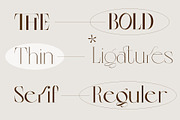 Colibre Bristole Pro, a Serif Font by Jolicia Type (Thumbnail 8 of 13)