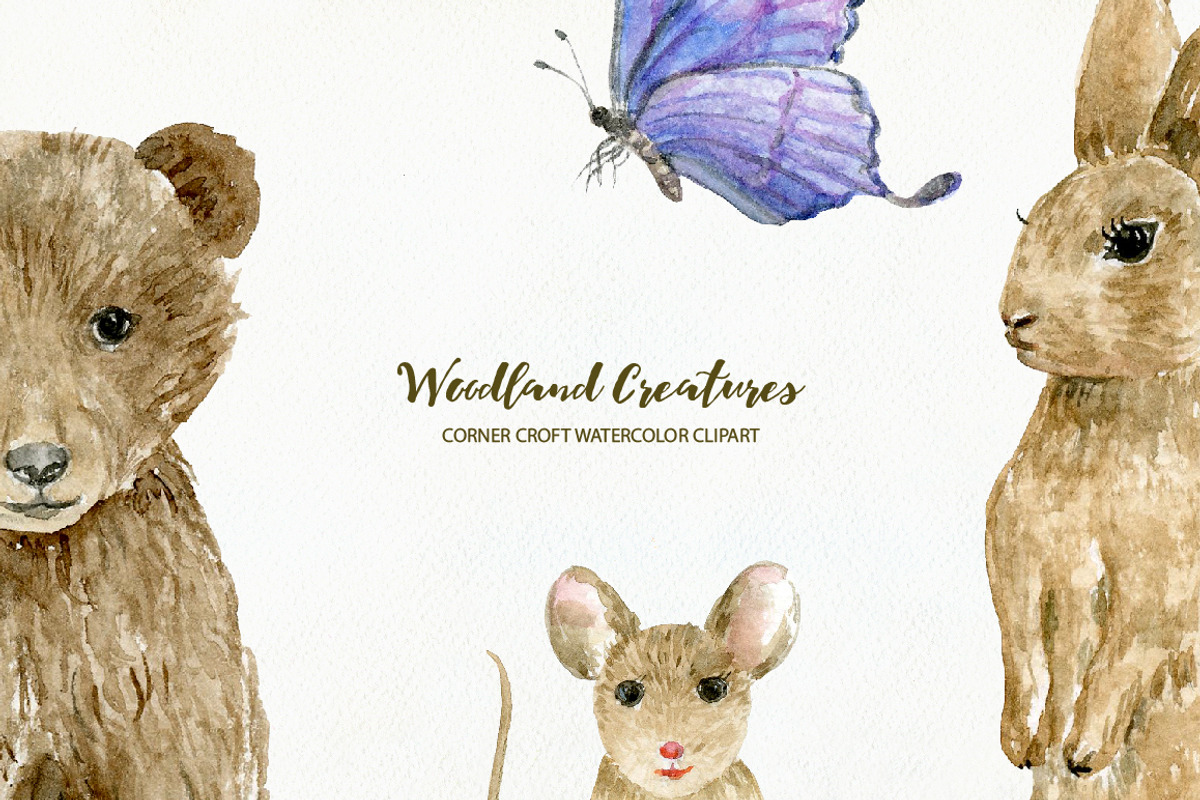 Woodland Animals Watercolor Clipart, an Animal Illustration by Corner Croft (Photo 7 of 7)